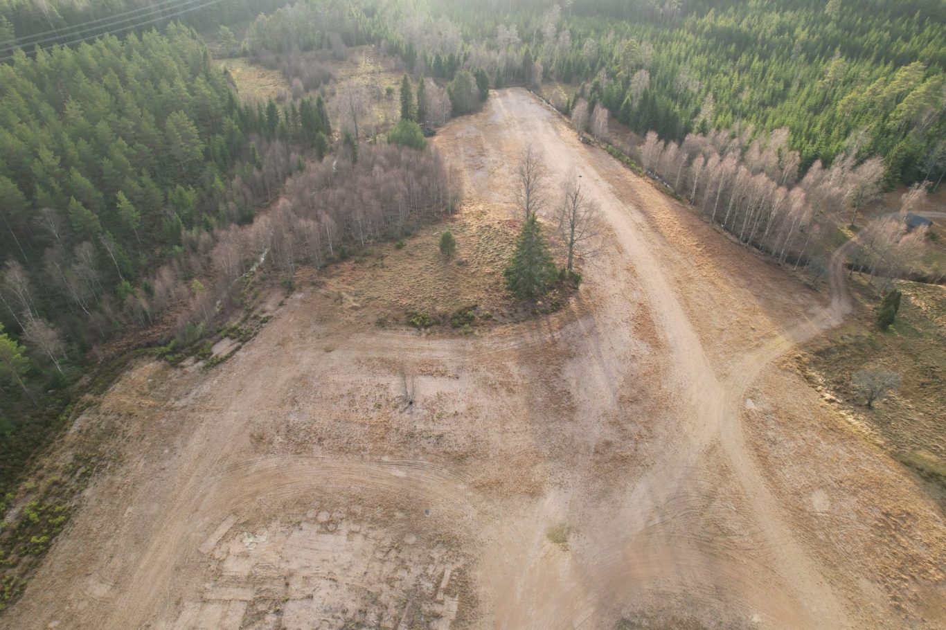 Karg mark med enstaka träd och omgivande skog, ljus backe syns i bakgrunden.